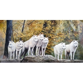 狼群(陳明創作)-y16458 - 油畫-油畫動物系列/ 創作手繪油畫.客廳.餐廳.臥室.玄關畫